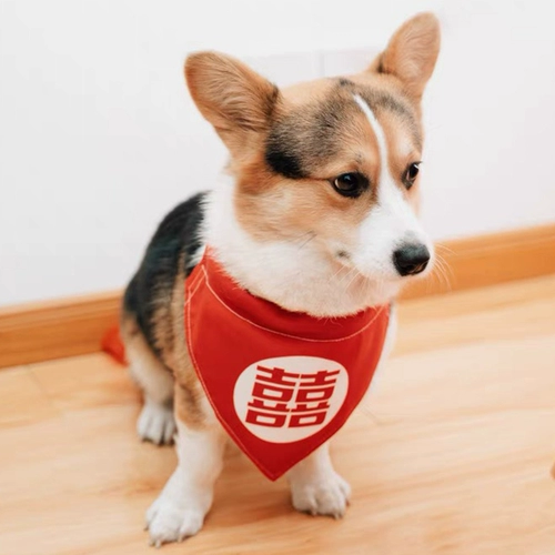 楃 楃 嫍鐚       滃 泹锽 滃 泹锽 夎   страх 洿鑴 栨柊 栨柊 栨柊