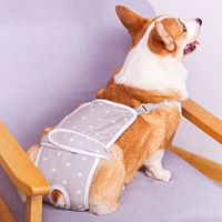 ТЕМПЕРАЛЬНАЯ СЕРЕ СТАРИЗАЦИИ