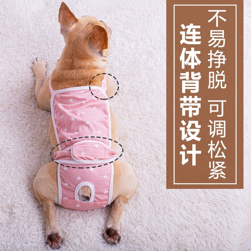 Мальчик собака собака хлопковое биологическое брюки по ремню тела плюшевое плюшевое медведь фана