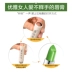 Duo Shang Duo Natural Plant Lip Balm Giữ ẩm Giữ ẩm Không màu Lip Care Chăm sóc da mặt Môi và Nam