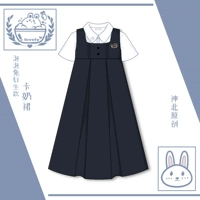 Оригинальная студенческая юбка в складку, платье, рубашка, осенний оригинальный комплект, осенняя