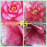 Симуляция Peony Umbrella Dance Pruder Umbrella Руки с цветами большие сценические игры с открытой спектаклем