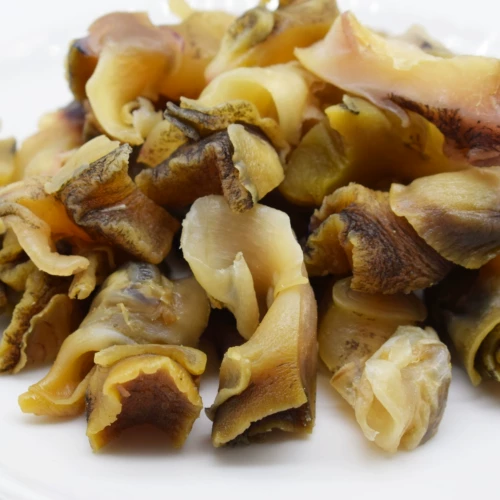 Раковина сухой Дандонг Специальные морепродукты закуски 100 г большие раковины Арома