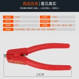 Цветочные моллюски, цветочные моллюски, моллюски, моллюски, моллюски, моллюски, моллюски из моллюсков кровя