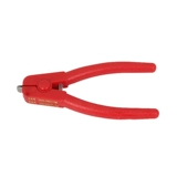 Цветочные моллюски, цветочные моллюски, моллюски, моллюски, моллюски, моллюски, моллюски из моллюсков кровя