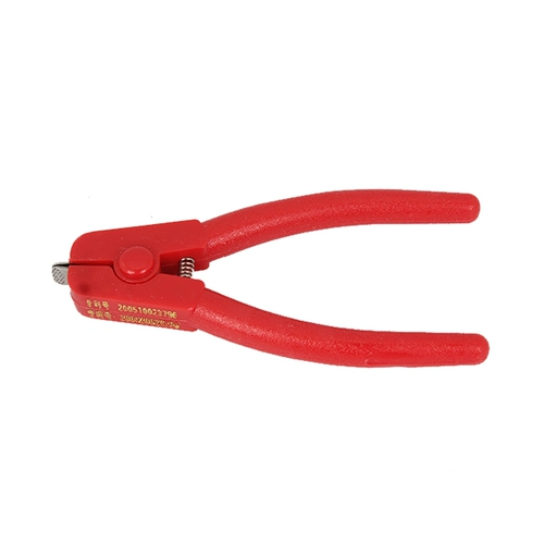 Цветочные моллюски, цветочные моллюски, моллюски, моллюски, моллюски, моллюски, моллюски из моллюсков кровя