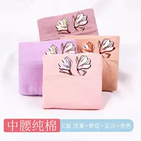90 печатных креветок+абрикос+светлых+фасоль