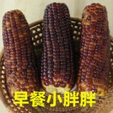 Семейство кукурузы Yunnan Purple Black Clutiny Corn Fresh, пылесос, бесплатный завтрак цветочный клейкий аромат клейкий маленький липкий объем