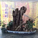 Вода -поглощение камня бонсай водяной камень бонсай содержит камень бонсай бонсай может настраивать рокю бассейна по мере необходимости