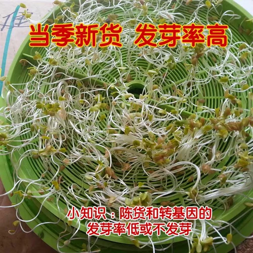 Новые товары Внутренние Монголия Семена льна 2,5 кг5 кора