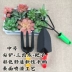 Dụng cụ làm vườn cung cấp nhỏ hộ gia đình nhỏ trồng hoa đa nhỏ trồng xẻng xúc xắc ba mảnh bốn mảnh