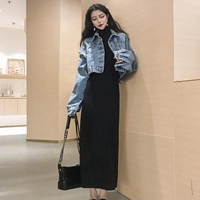Mùa thu đông 2018 phiên bản mới của Hàn Quốc với kiểu váy retro sang trọng kiểu đầu gối nữ thời trang chia cổ cao váy chiết eo