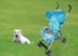 Bốn bánh vật nuôi xe dog stroller pet xe đẩy em mèo dog thế giới nhu yếu phẩm hàng ngày có thể gập lại xe đẩy em dog giỏ hàng 	mua bát ăn cho chó	 Cat / Dog hàng ngày Neccessities