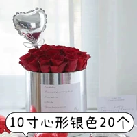 10 -INCH SILLIC 20/SAG