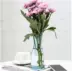 Bình thủy tinh tươi nhỏ trang trí sáng tạo hoa đơn hoa hồng nhỏ bình nước văn hóa hoa hoa - Vase / Bồn hoa & Kệ Vase / Bồn hoa & Kệ