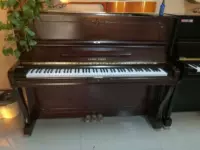 Tế Nam cho thuê đàn piano tại nhà thực hành chuyên nghiệp Tần Taian Laiwu giao hàng tận nhà dọc đàn piano lớn cho thuê ngắn - dương cầm yamaha ydp 143