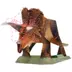 3D khủng long kỷ Jura Triceratops Tyrannosaurus rex Zhimo mô hình giấy mô hình giấy của ba chiều đồ chơi rồng Baotou 	mô hình gấp giấy Mô hình giấy