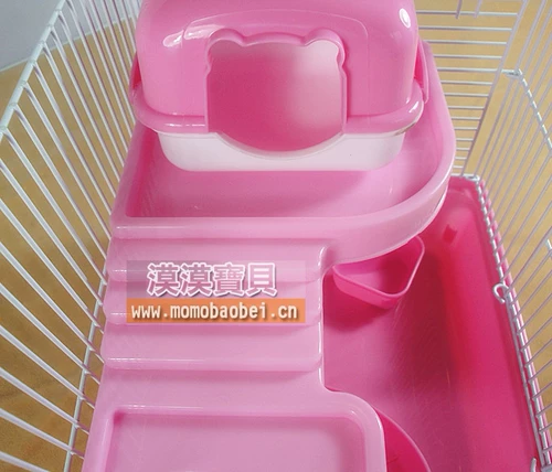 Новый век Новый год Sakura Time Standar