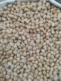 3 кот Синьцзян, специально произведенные орлиные бобовые бобы, 1,5 кг зерновые