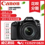 Ngân hàng Quốc gia Canon Canon 80D một thân máy ảnh EOS 80D HD máy ảnh DSLR tự động hẹn giờ WIFI - SLR kỹ thuật số chuyên nghiệp máy ảnh sony a6400
