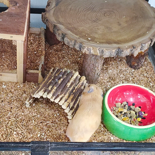 Бесплатная доставка сухой ферментированный матрас, Гомошерские золотые медведи, кролика