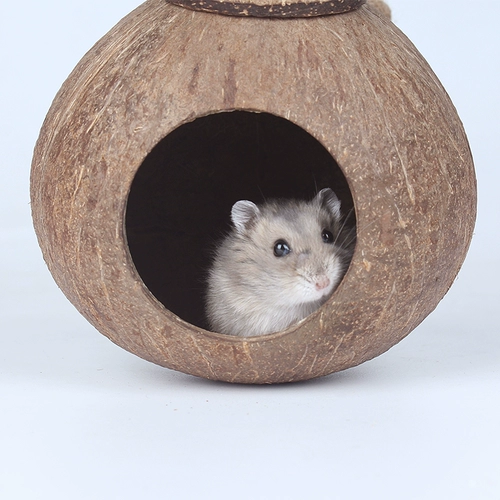 Новый продукт Hainan Style Hamster Цветочные ветви и золотой мышиный шелковый медведь спящие мыши с медовыми мешками 鼯 Squirrel Four Seasons Universal Coconut Shell спальня