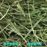 Бесплатная доставка Специальная зеленая 20 -летняя секция смешанной травы пастбищ, Моисей, пшеница, плетена