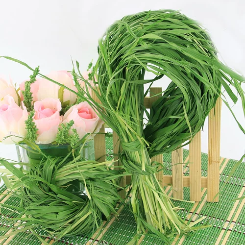 Бесплатная доставка новая столица корма, сушеная зеленая овсянка 250 граммов тоторового кролика, гвинеи, сухой трава, сушеные травы, три главные травы