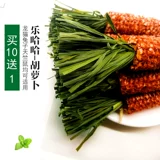 Сухой Тимори Травяная кукурузная морковь в форме шлифовальных игрушек, кроликов, голландская свиная игрушка 3/сумка