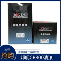 PPG Bangni CR300 Большой чехол Cover Blight Oil Bonny Bang Nippon Car Paint Дополнительные материалы 7,5 л/набор