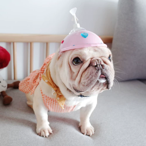 Шлем домашнего животного со очками, собачья бамбуковая драконь