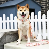 Tangcao -patterned Shiba Inu Traction Tope веревка японского стиля для собак ходьба веревочная шейка для грудной клетки шей