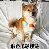 Ожерелье для домашних животных Cant Canton Color Ball Ball