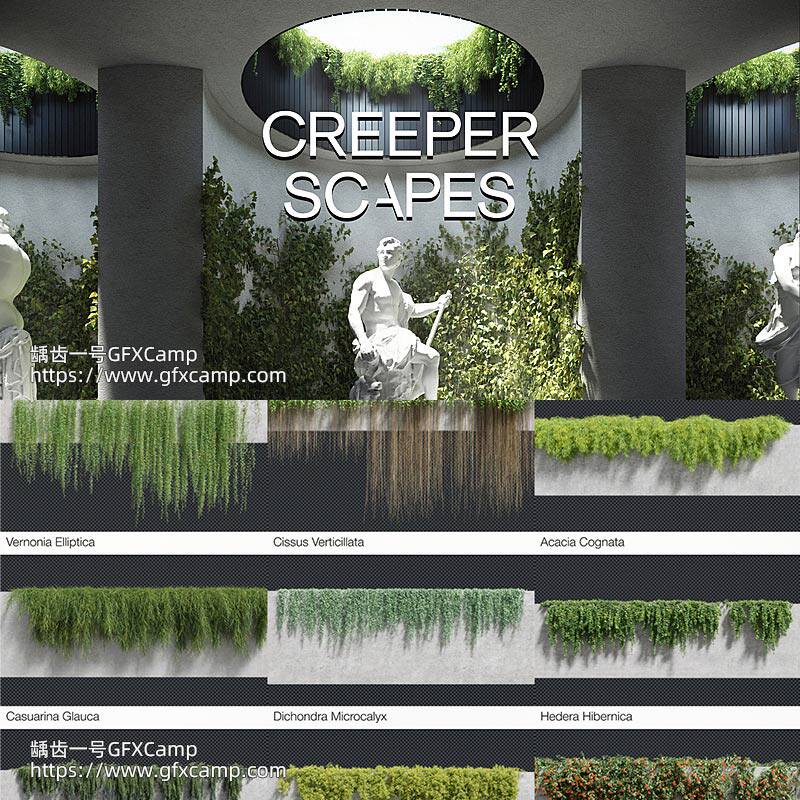 Blender 437组藤蔓爬山虎植物花朵3D模型资产预设 Creeper Scapes-天天素材网