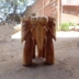 Gỗ long não Gỗ đắng khắc rễ cây phân voi Giống như ghế gỗ Tượng phân Phân trang phục đặc biệt bàn cà phê với phân - Các món ăn khao khát gốc