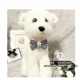 Аксессуар ручной работы, чокер, ожерелье, галстук-бабочка с бантиком, колокольчик на солнечной энергии, домашний питомец, кот, подсолнух