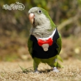 Чистая домашняя птица одежда попугай домашние животные весна и осенняя куртка маленькие платья.