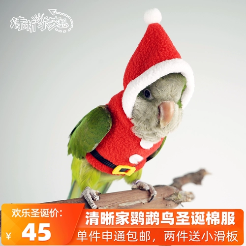 Прозрачные попугаи птицы осень и зима Hermore теплой одежда сервер, настраиваемая по всему рождественскому серверу, бесплатная доставка