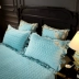 Shen Hao dệt vải nhung pha lê cộng với nhung trải giường mùa thu và mùa đông dày tấm ấm cộng với chăn đơn ga nệm đẹp Trải giường