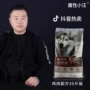 Ma thuật nhỏ Wang thức ăn cho chó 30 kg loại phổ quát Jin Mao Satsuma Chồng Labrador vừa và chó con chó lớn - Chó Staples mua thức ăn cho chó