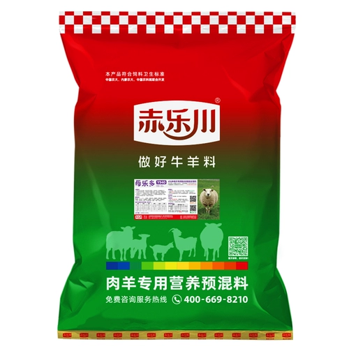 Чилечуань 4%беременность Мианьяма овца