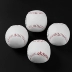 Chính hãng Jiali softball 10 inch 9th bóng chày chuyên nghiệp của nhãn hiệu may tiểu học và trung học sinh viên thực hành thi cứng rắn