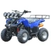 Xe mô tô bốn bánh 125CC nhỏ bò địa hình ATV xe địa hình núi xe máy thể thao xe tải nhỏ du lịch