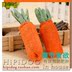 Loofah Cà Rốt Pet Đồ Chơi Puppy Dog Cat Mol Cắn Đào Tạo Teddy Tha Mồi Vàng Con Chó Nhỏ Nguồn Cung Cấp bán đồ chơi cho chó Mèo / Chó Đồ chơi