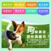 Chó đồ chơi răng hàm cắn bằng chứng vocal quả bóng cao su hơn gấu tha mồi vàng puppy đào tạo pet cát Teddy nguồn cung cấp puppies đồ gặm cho chó Mèo / Chó Đồ chơi