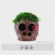 Moszhi Ding xiao Meng Head