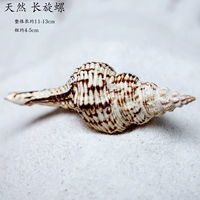 Натуральная длинная спинна