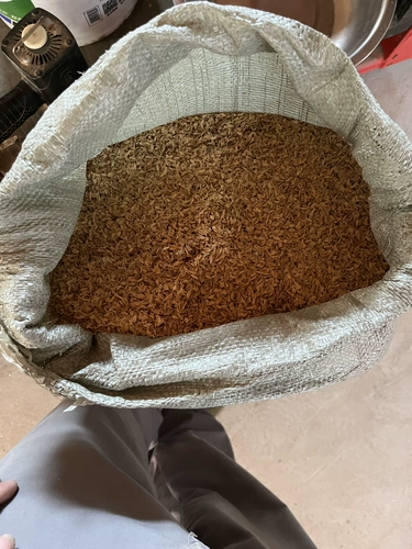 Nantong Self -из оригинальной курицы, утки и гуся.