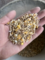 БЕСПЛАТНАЯ ДОСТАВКА ДЛЯ 30 JIN PACK