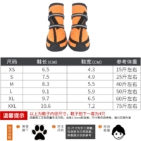 Домашняя собака-обувь-оранжевые